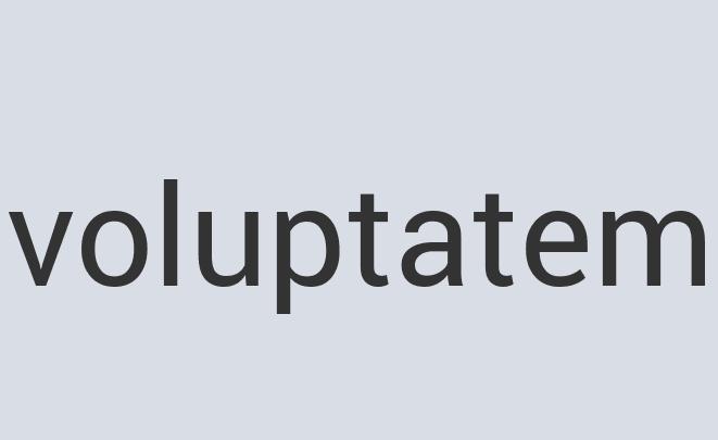 Durable Wooden Umbrella Wet